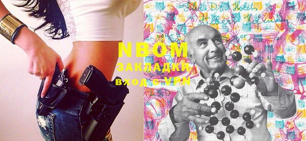 крисы Мегион