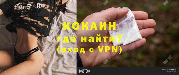 гидра Абаза