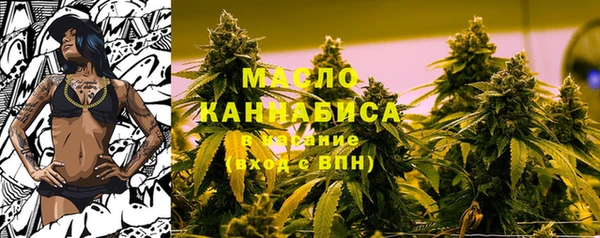 индика Абдулино