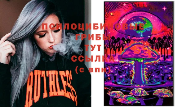 гидра Абаза