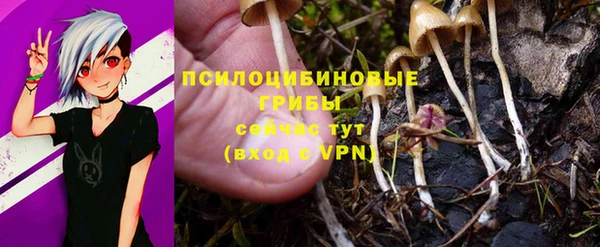 ешки Абинск