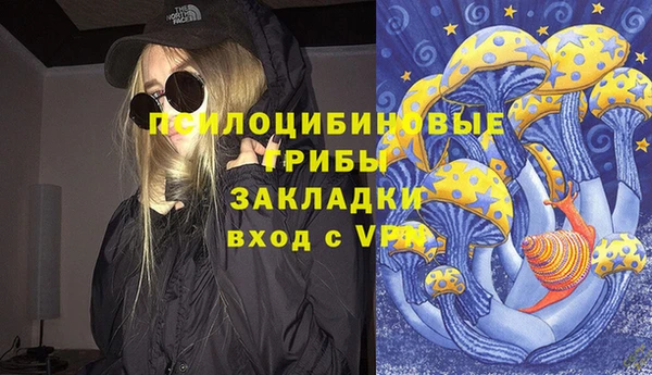индика Абдулино