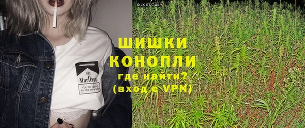 гидра Абаза