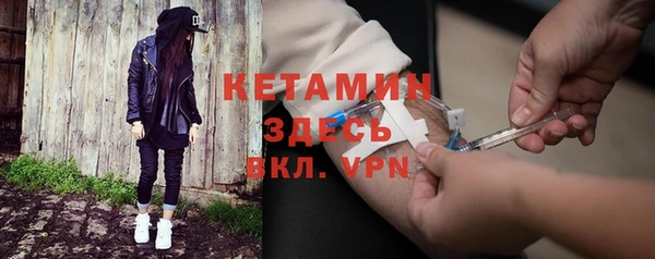гидра Абаза